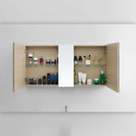 Evo 1200 Mirror Cabinet - Mirror Storage