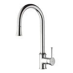 Real Kitchen Mixer with Pull Out Spray - Kitchen Tapware