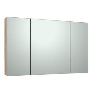 Evo 1000 Mirror Cabinet