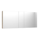 Evo 1200 Mirror Cabinet