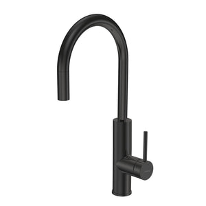 Envy II Arch Kitchen Mixer with Pull-out Spray