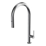 Envy 30 Kitchen Mixer with Round Spout and Pull Out Spray