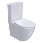 Ellisse II Wall Faced Suite Rimless (including Pressalit Seat)