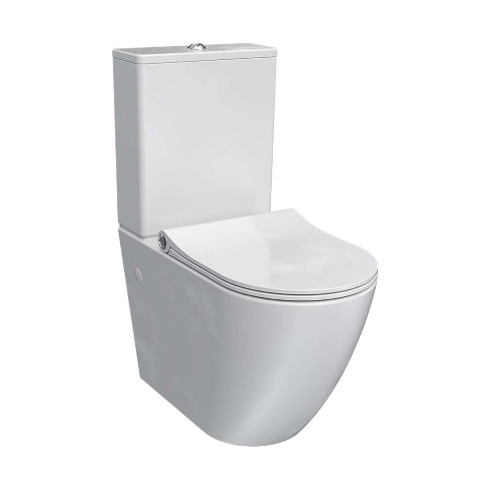 Ellisse II Wall Faced Suite Rimless (including Pressalit Seat) - Toilets