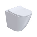 Ellisse II Wall Faced Pan Rimless (including Pressalit Seat)