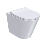 Linfa Wall Faced Pan Rimless (including Pressalit Seat)