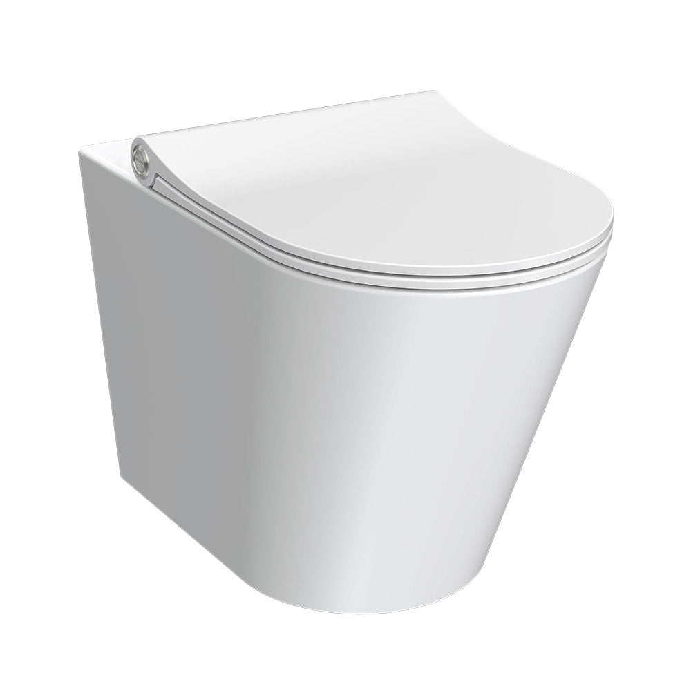 Linfa Wall Faced Pan Rimless (including Pressalit Seat)