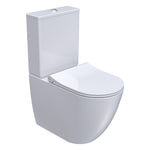 Ellisse II Ambulant Suite Rimless (Including Pressalit Seat)