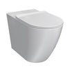Ellisse II Ambulant Wall Faced Pan Rimless with Soft Close Seat