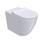 Ellisse II Ambulant Wall Faced Pan Rimless (Including Pressalit Seat)