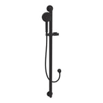 Stella Sliding Grab Rail Straight 900mm with Hand Shower