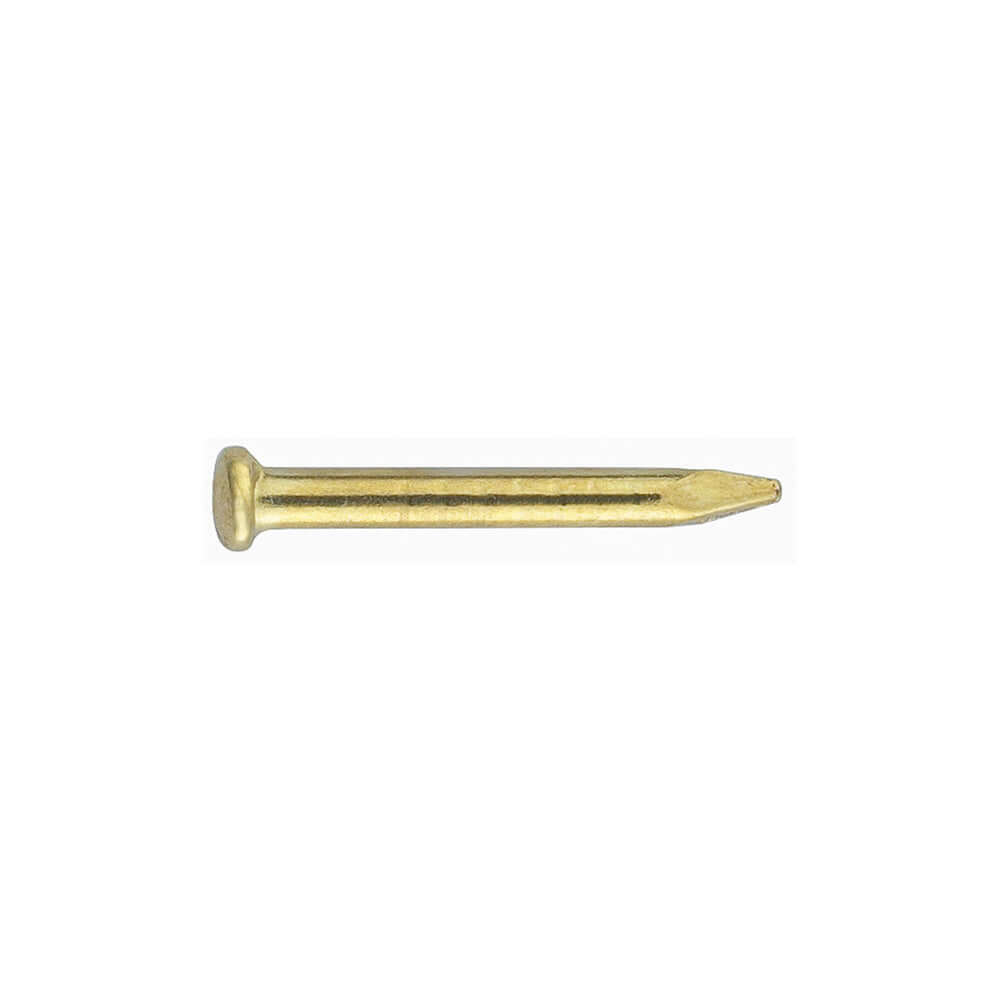 Decorative Brass Nail - Doorware