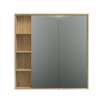 Rocki 1000 Mirror Cabinet - Mirrors