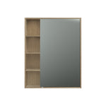 Rocki 800 Mirror Cabinet - Mirrors