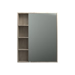 Rocki 800 Mirror Cabinet - Mirrors